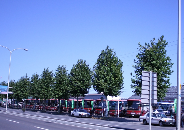 b0075486_2325984.jpg