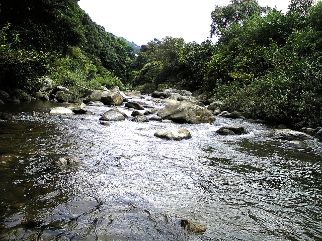 d0129886_2042553.jpg