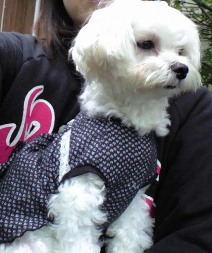 c0135690_17591654.jpg