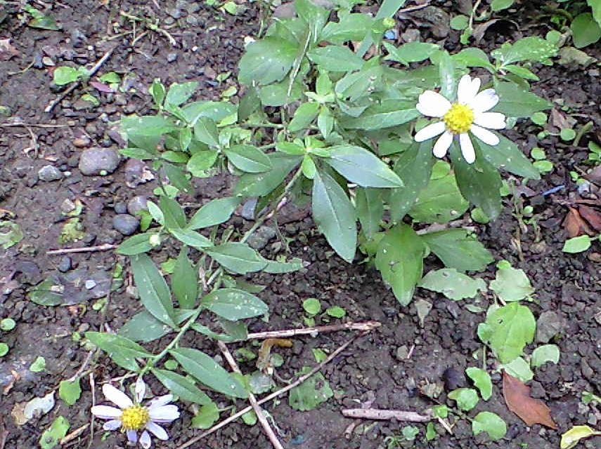 c0135690_17595374.jpg
