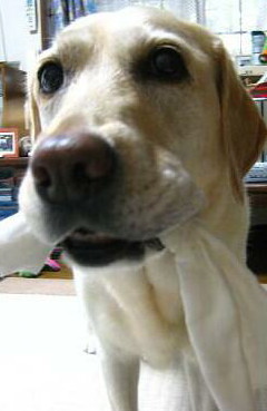 c0028792_2134425.jpg