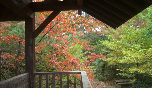 b0099994_825445.jpg