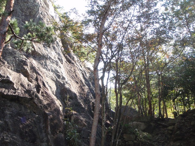 c0147398_236593.jpg