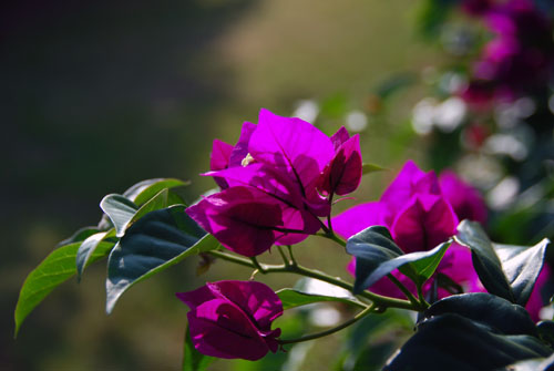 b0014607_8422799.jpg