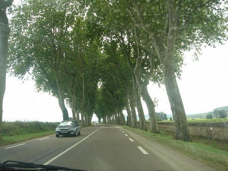 e0049409_22274883.jpg