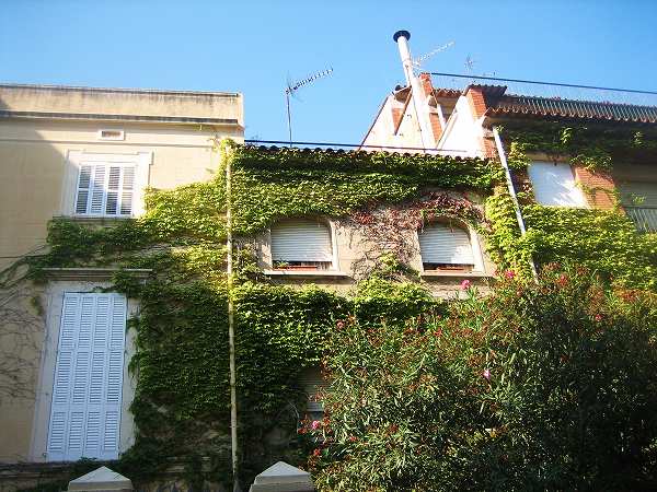 b0064411_7241396.jpg