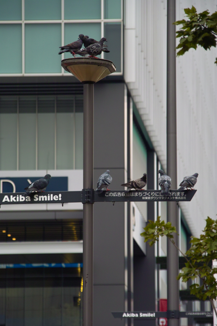 b0137311_2334319.jpg