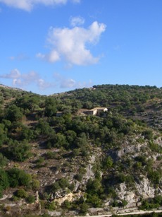 f0133814_6355100.jpg