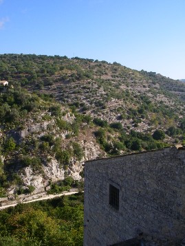 f0133814_66043.jpg