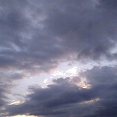c0036617_19355965.jpg