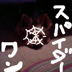c0036617_19371570.jpg