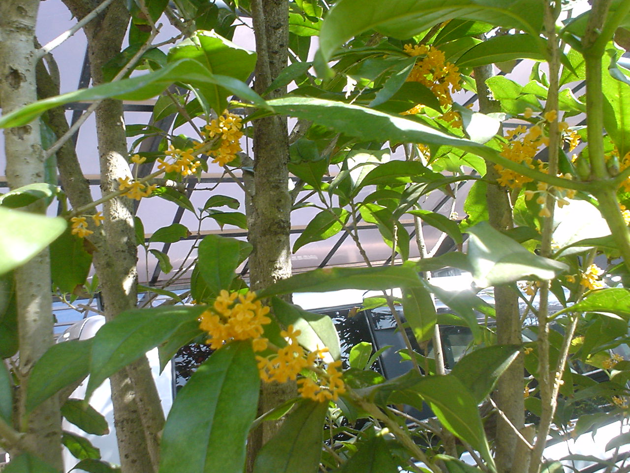 c0150520_10354521.jpg