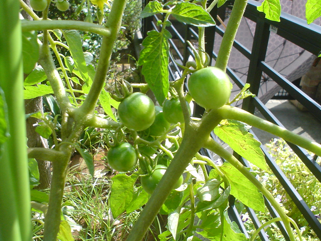 c0150520_10355918.jpg