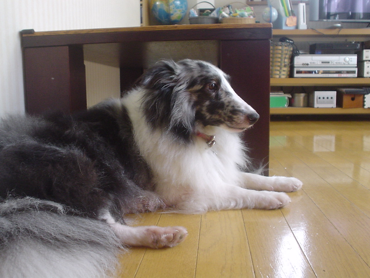 c0150520_1049852.jpg