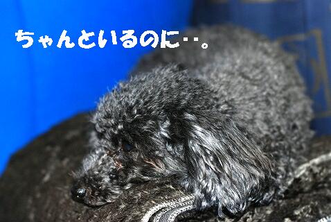 c0116921_2281790.jpg