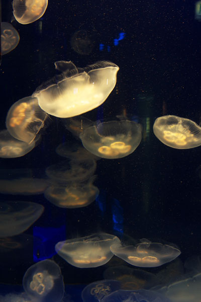 e0001123_10313115.jpg