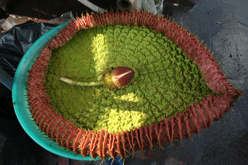 d0042827_22344920.jpg