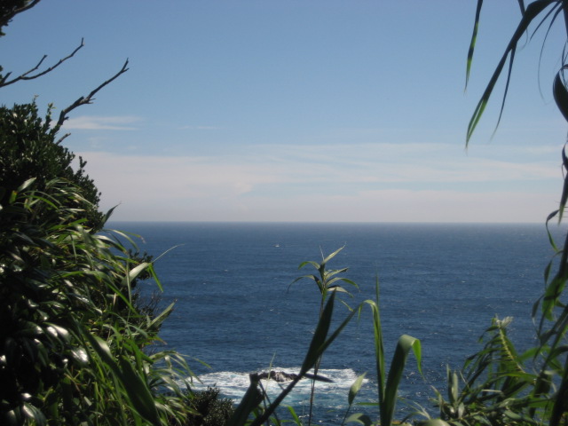 d0147727_1924150.jpg