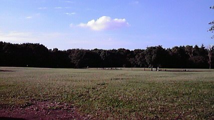 c0086230_1752697.jpg