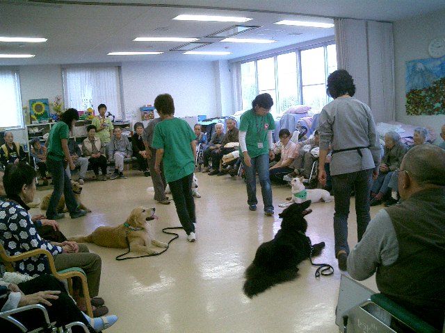 c0114833_1240385.jpg