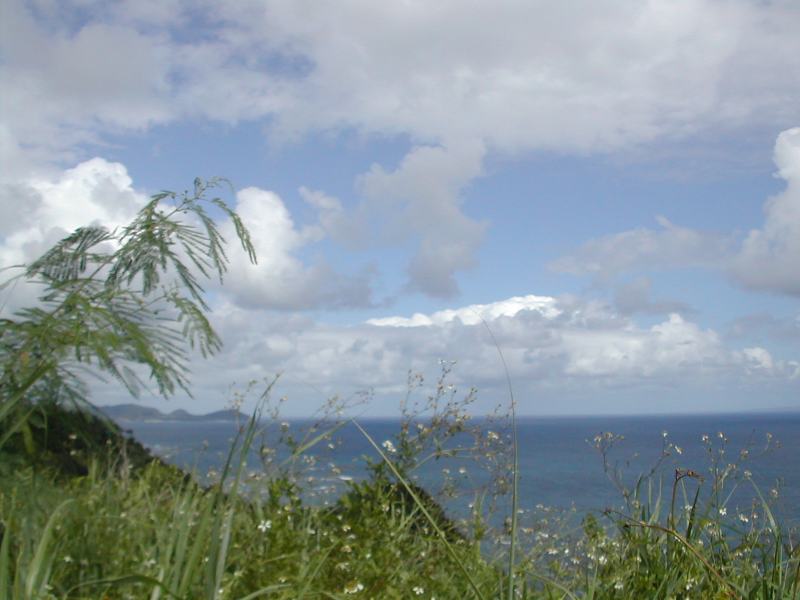 e0062635_2050854.jpg