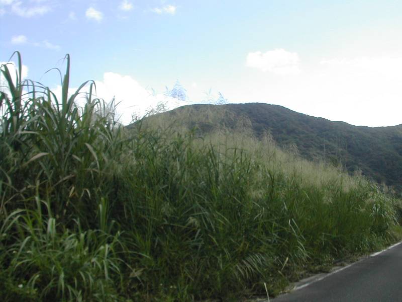 e0062635_2052380.jpg