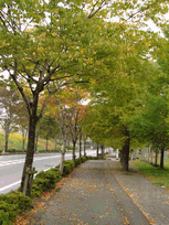 c0136736_22364288.gif
