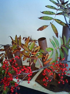 a0108837_10503080.jpg