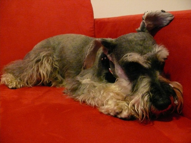c0153740_1826159.jpg
