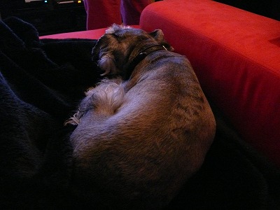 c0153740_1830162.jpg