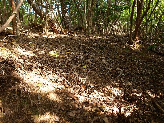 c0072843_18464288.jpg