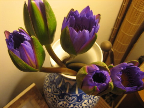 e0018143_2311352.jpg