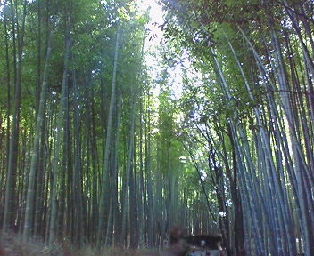 c0071746_2204868.jpg