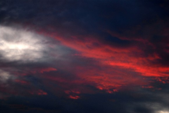e0009147_20121311.jpg