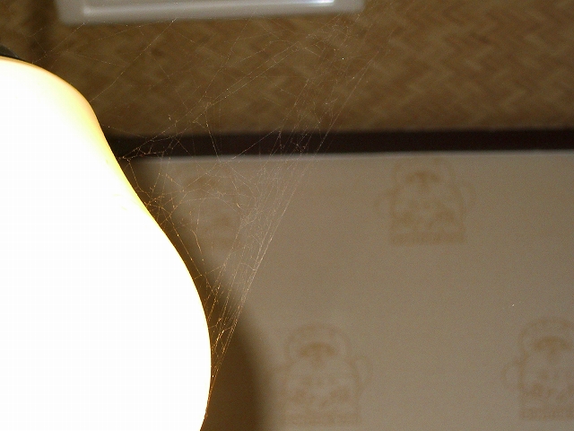 b0019851_931020.jpg