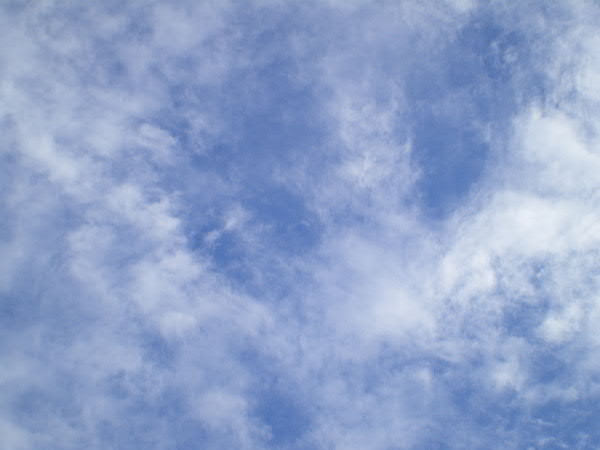 e0017051_081865.jpg