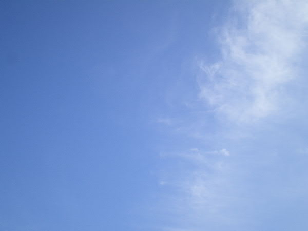 e0017051_083712.jpg