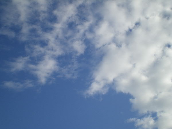 e0017051_08584.jpg