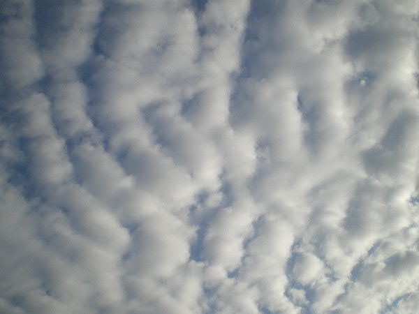 e0017051_091125.jpg