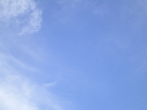 e0017051_093831.jpg
