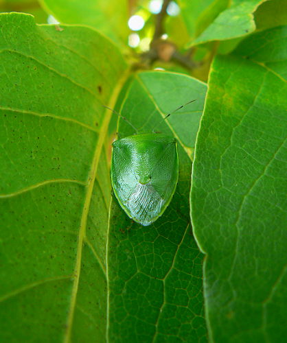 d0091754_2492848.jpg