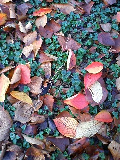 c0022855_22265433.jpg