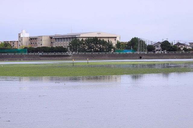 f0044056_16561650.jpg