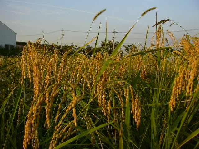 b0139862_23483359.jpg