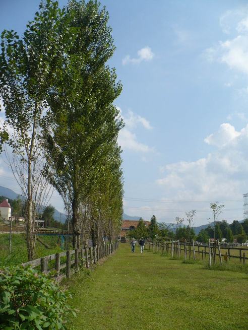 a0063364_23542747.jpg