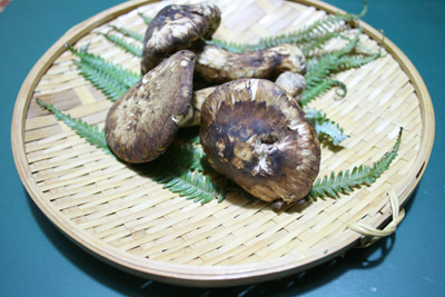 c0117570_17111255.jpg