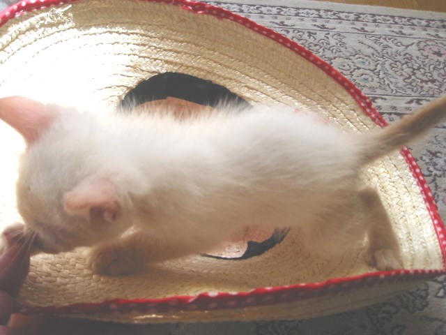 e0031572_2149513.jpg