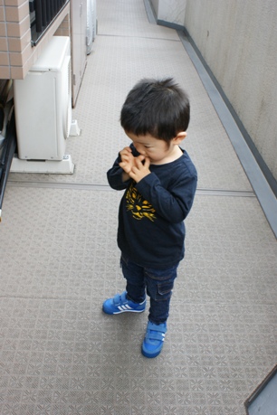a0013479_0374217.jpg