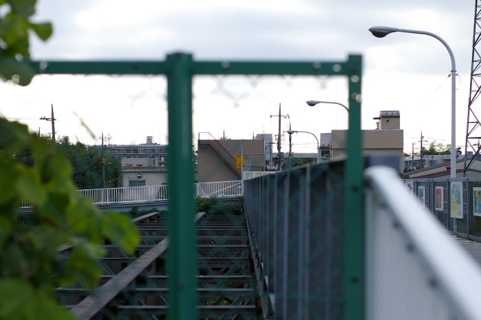 b0120979_1131790.jpg