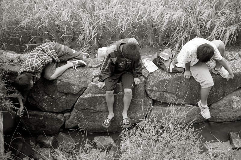 f0167482_21113799.jpg